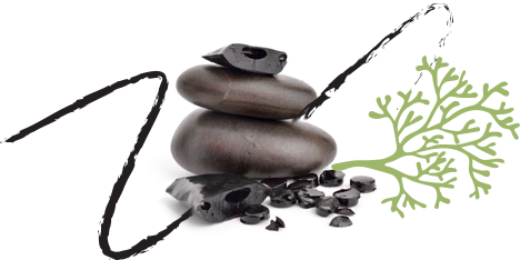 Virgin Shilajit